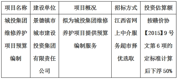 城投集團維修養護項目預算編制計劃公告