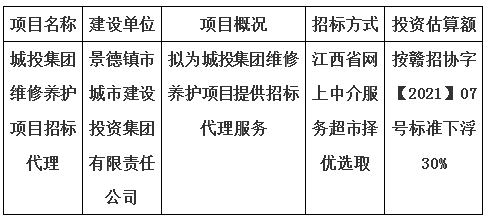 城投集團維修養護項目招標代理計劃公告